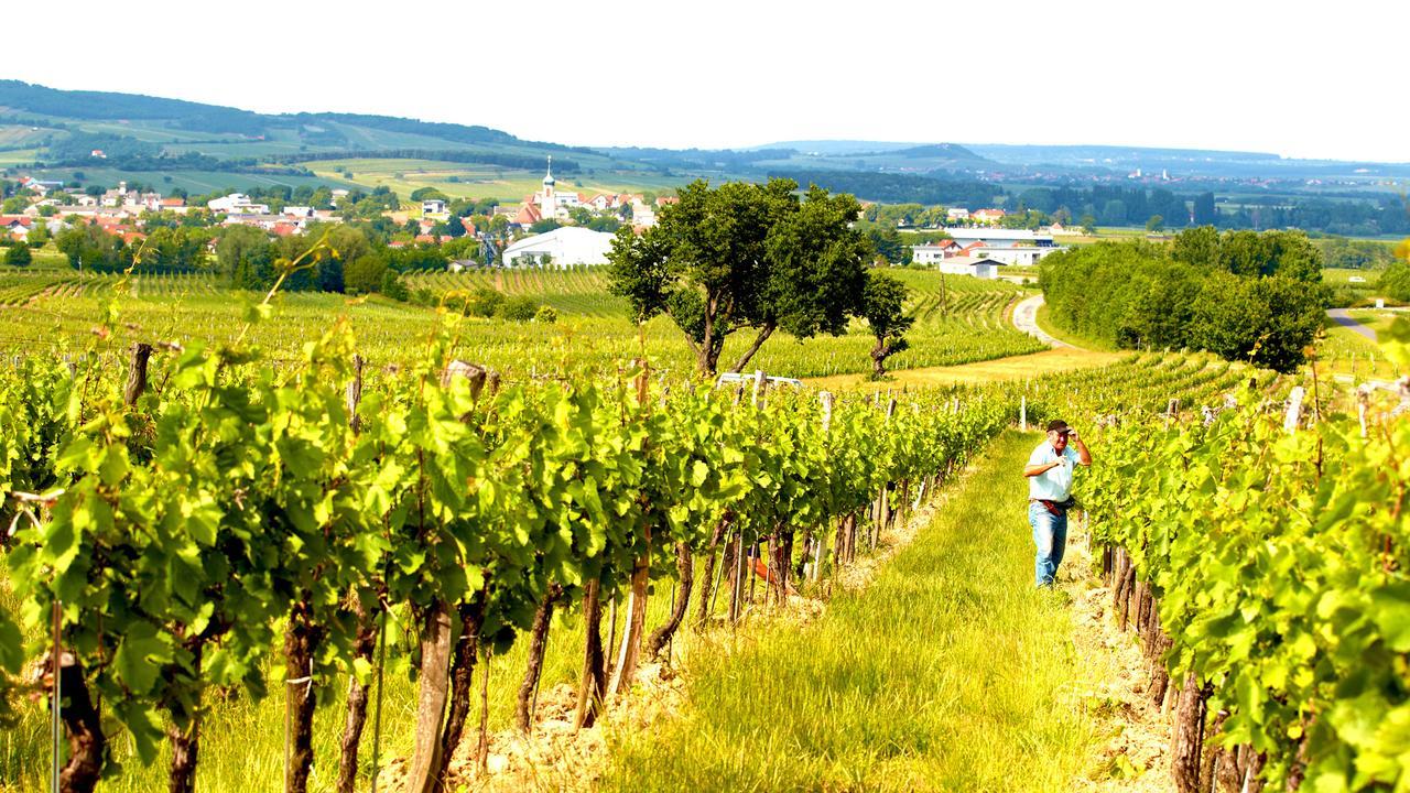 Iby-Lehrner Wein-Gut Und Wein-Traeumerei Horitschon Extérieur photo